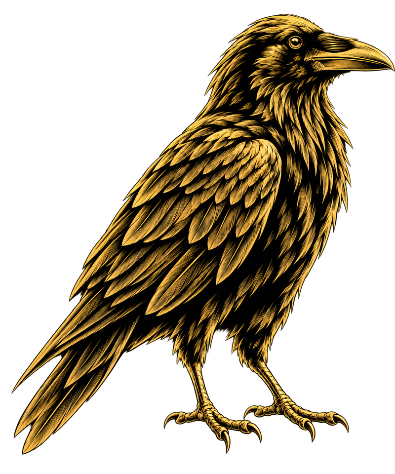 SPIRIT OF THE RAVEN